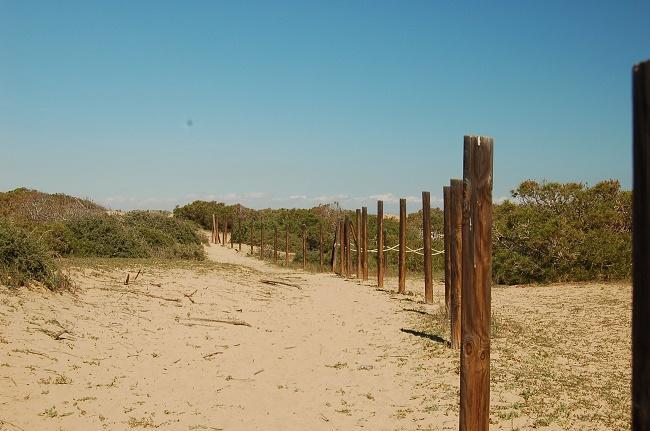 Apartamento Pinada Beach- La Mata La Mata  Extérieur photo